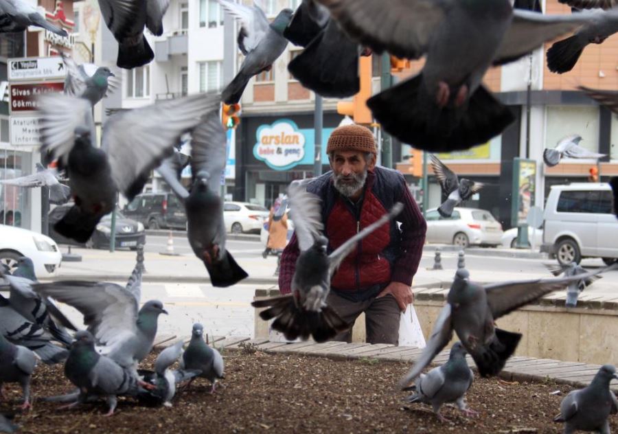 Sivas’ta ecdadın hayvan sevgisi 800 yıldır yaşatılıyor