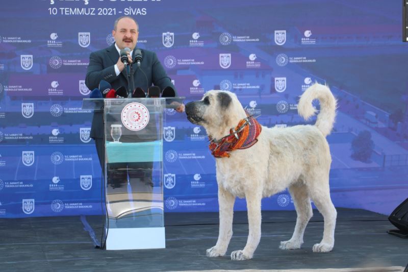 7 Milyon TL’lik yatırım hizmette; Kangal Köpeğinin marka değeri yükselecek