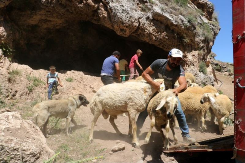 Mağarada organik yetiştiler, kurban olmak için yola çıktılar
