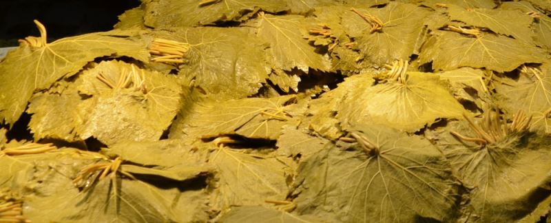 Yaprak tezgahlarında yaprak kımıldamıyor