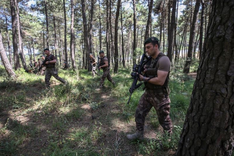 Polis, jandarma orman korumasında