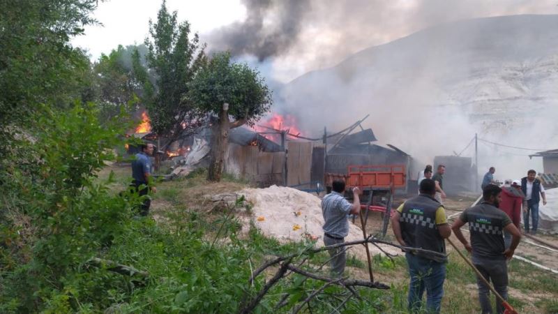 Ahırda çıkan yangında büyükbaş hayvanlar telef oldu