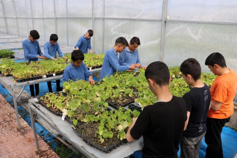 Bu lisede öğrenciler traktör sürüp tarım yapıyor