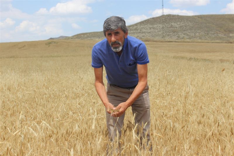 Çetindağ:  Sel baskınında 30 bin dönüm ekili tarım arazisi hasar gördü