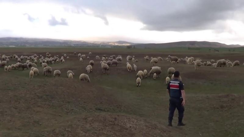 Halk ozanından Jandarma teşkilatına anlamlı jest