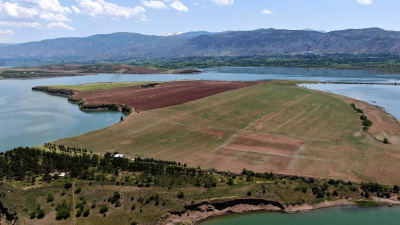 Müşterisi çıkmayan milyonluk adada tarım yapıldı