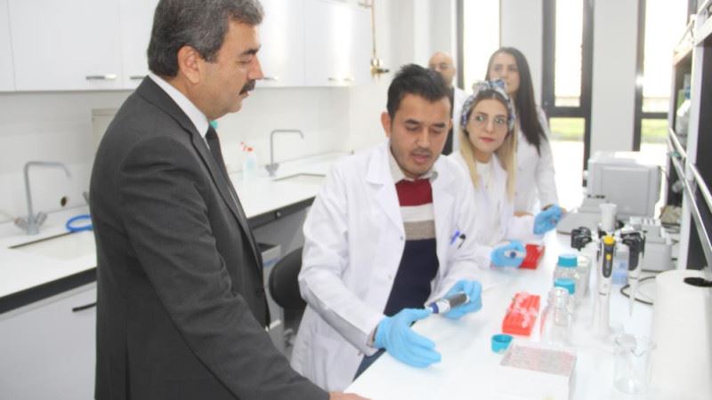 Prof. Dr. Mehmet Kul, yeniden SBTÜ Rektörü olarak atandı