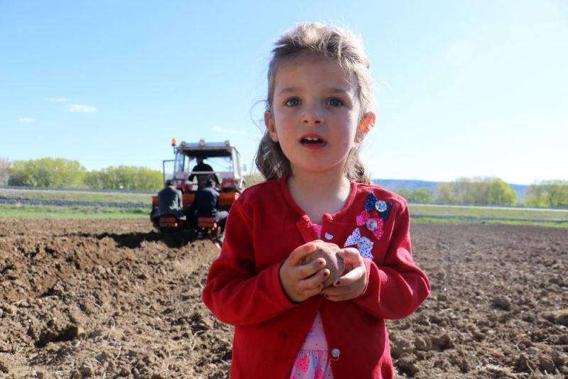 Sivas’ta 10 binlerce tohumluk patates toprakla buluştu