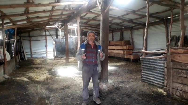 Sivas’ta dolandırılan çiftçinin elinde sadece boş ahırı kaldı