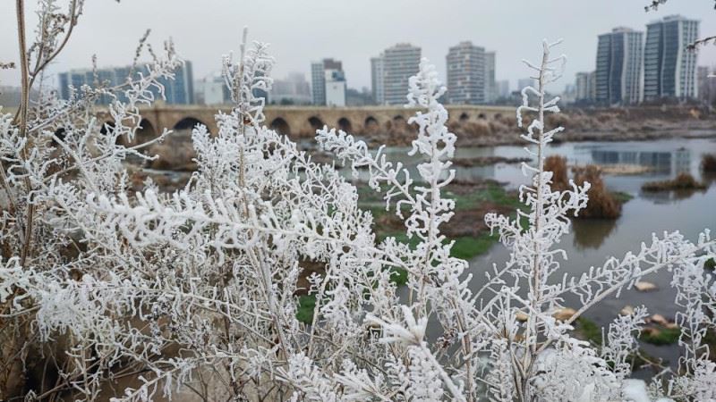 Sivas’ta kırağı güzelliği